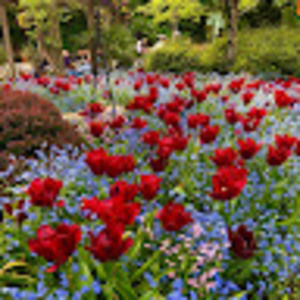 Meet your Posher, Janet